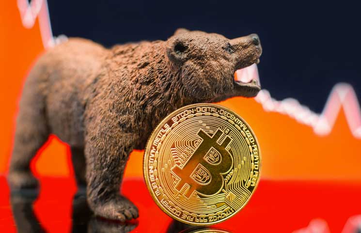 when did crypto bear market start