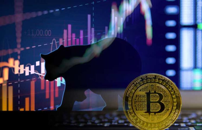 Bitcoin’s Next Halving Rally: Coming Soon in 2019