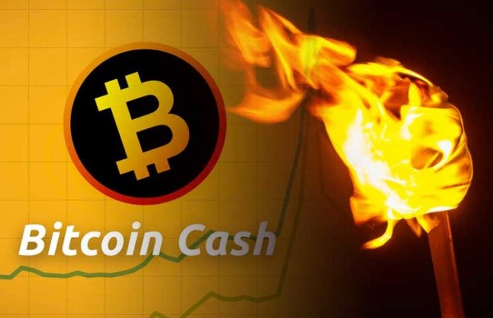 Bitcoin Cash Price Prediction Long Term Bch Value Forecast June - 