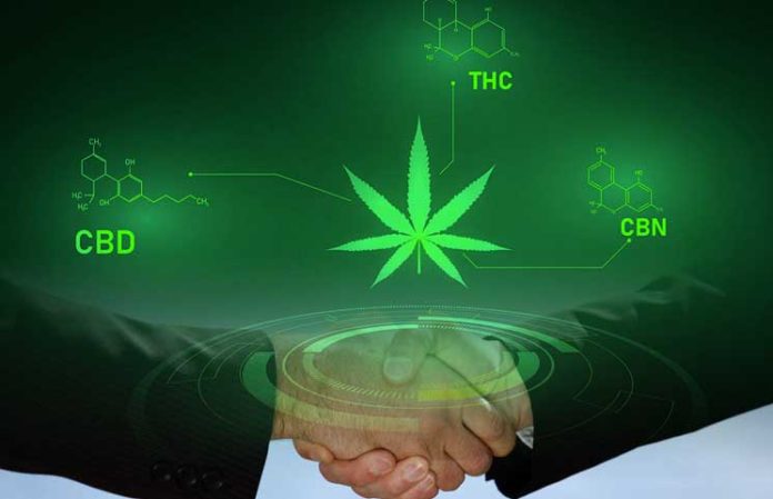 Cryptocurrency & The Cannabis Industry: Two Hot Markets Working Together