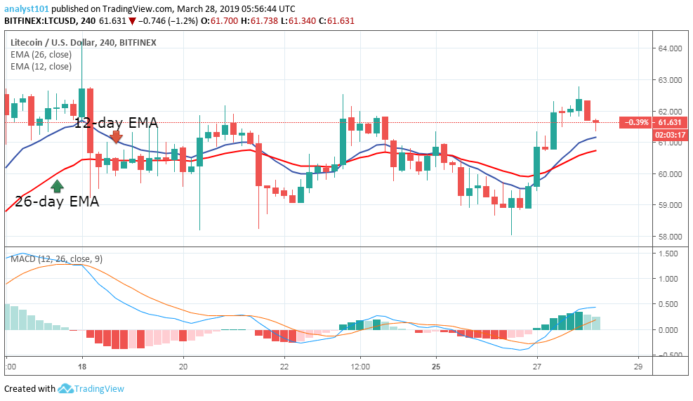 Litecoin Price Prediction 2019