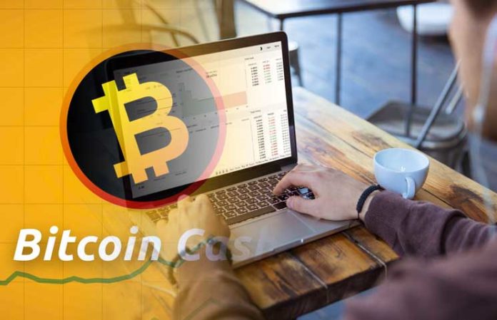 Bitcoin Cash Price Prediction Today Daily Bch Value Forecast - 