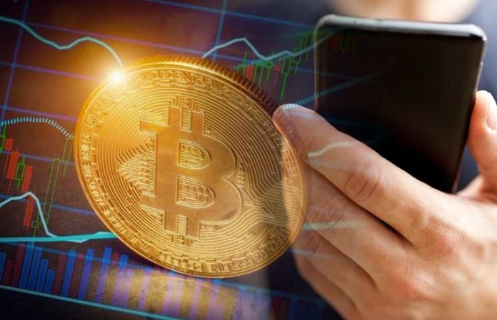 Bitcoin-Transactions-Havent-Been-This-High-Since-the-Last-Bull-Run-of-the-Market Bitcoin Transactions Haven’t Been This High Since the Last Bull Run of the Market