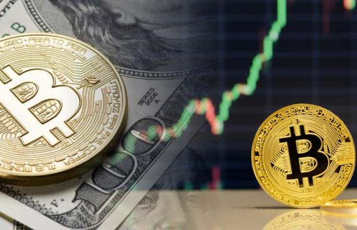Bitcoin Gold Debuts at #5 on CoinMarketCap