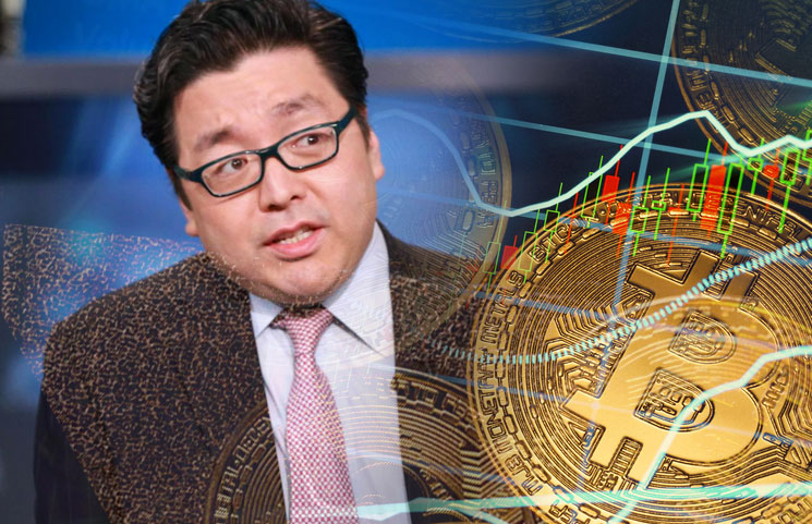 thomas lee crypto