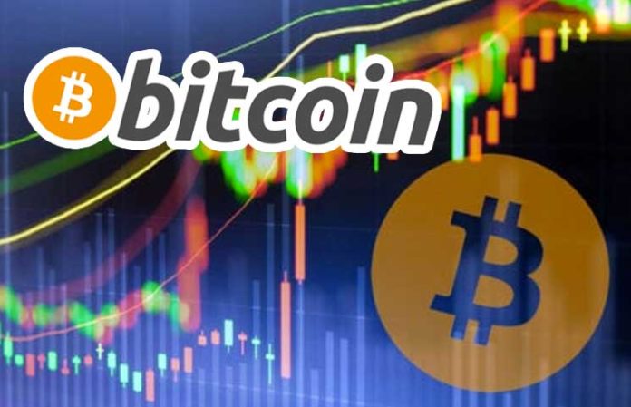After A Day Of Bear Markets, Bitcoin Bounces Back To $8,200 After A Day Of Bear Markets, Bitcoin Bounces Back To $8,200