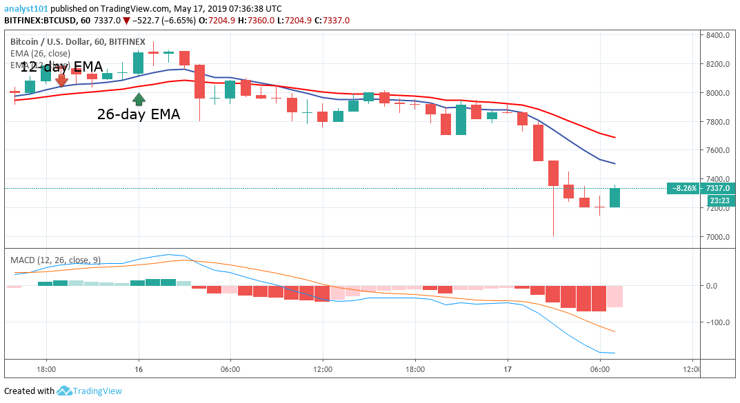 Bitcoin Hourly Charge Bitcoin Pizza - 