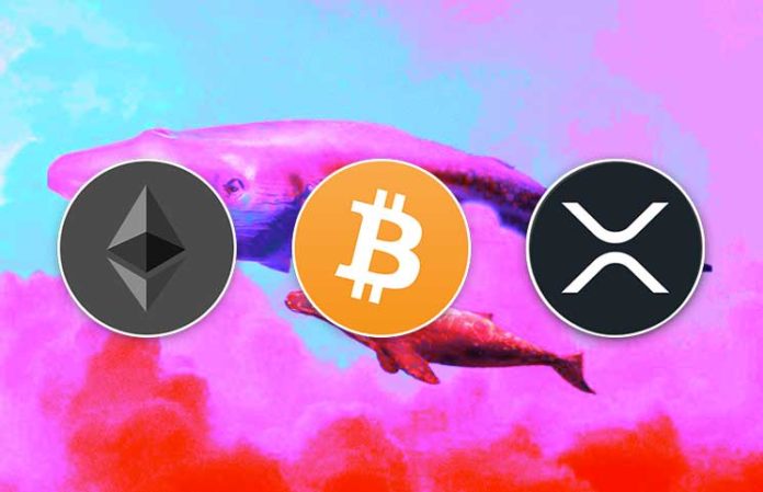 BTC-ETH-And-XRP-Whales-Have-Moved-Over-218-Million-In-Cryptos BTC-ETH-And-XRP-Whales-Have-Moved-Over-218-Million-In-Cryptos