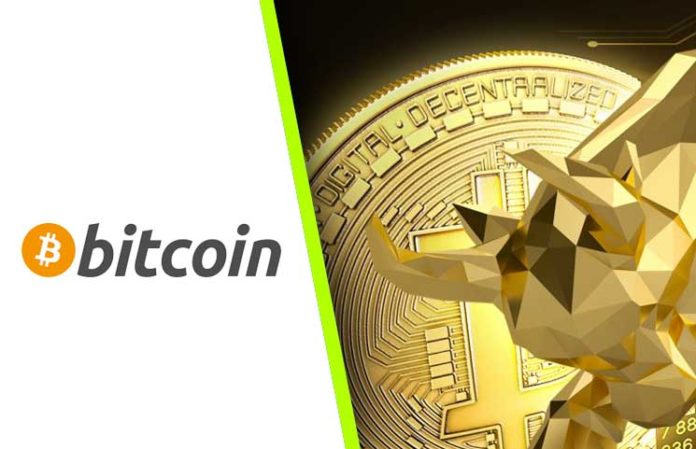 Bitcoin-Bulls-Enter-the-Space-Once-Again-With-Digital-Currencies-Surging-on-Good-News Bitcoin-Bulls-Enter-the-Space-Once-Again-With-Digital-Currencies-Surging-on-Good-News
