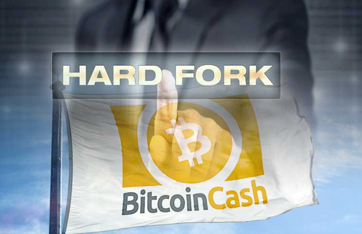 How do i get my bitcoin cash after the fork