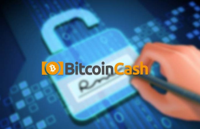 How To Safely Get Bitcoin Cash From Private Key Bitcoin Set To Crash - 