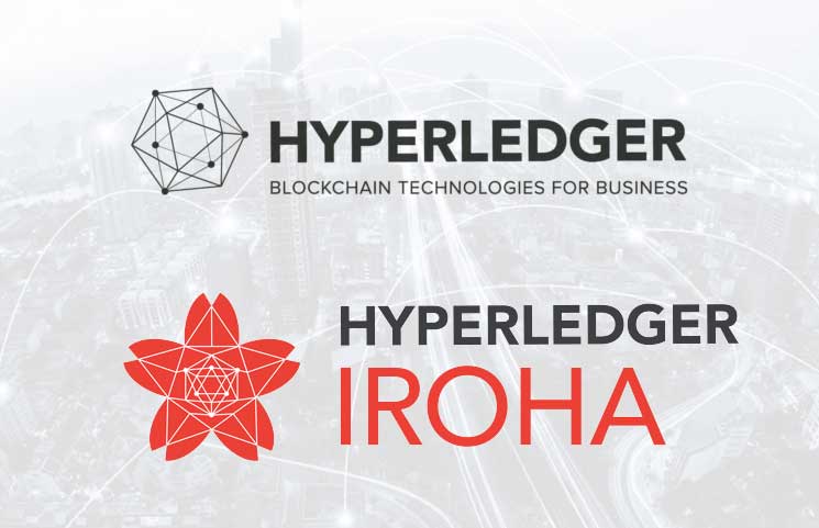 iroha blockchain