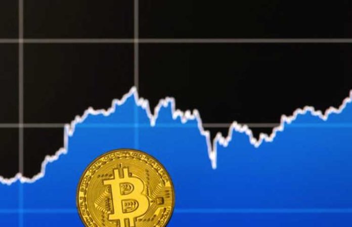 Million-Dollar-Bitcoin-Scavenger-Hunt-Lures-60000-Enthusiasts-and-Counting Million-Dollar-Bitcoin-Scavenger-Hunt-Lures-60000-Enthusiasts-and-Counting