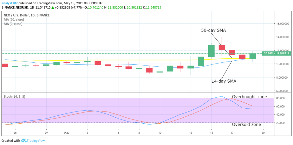 Crypto Market Update: Breakout from the Downside (Bitcoin, Bitcoin Cash, Neo Price Analysis)