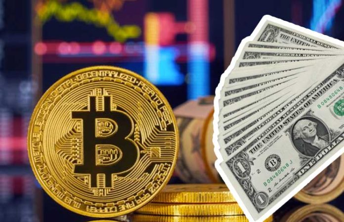 Buy bitcoin or not
