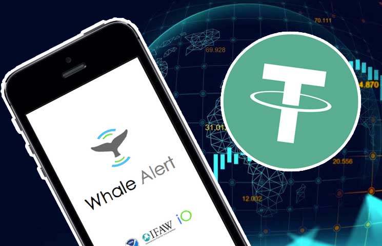 Whale Alert Informs Tether Treasury Performs Million