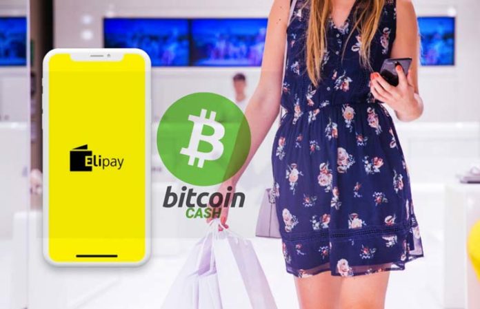 Bitcoin Cash Use Among Slovenia Grocery Shoppers Set To Grow Further - 