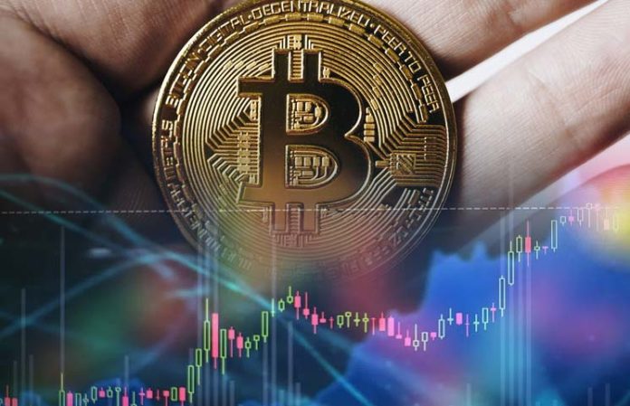 Bitcoin-Holding-Steady-Below-12000-amidst-a-Bullish-Week-But-Analysts-Calling-for-a-Drop Bitcoin-Holding-Steady-Below-12000-amidst-a-Bullish-Week-But-Analysts-Calling-for-a-Drop