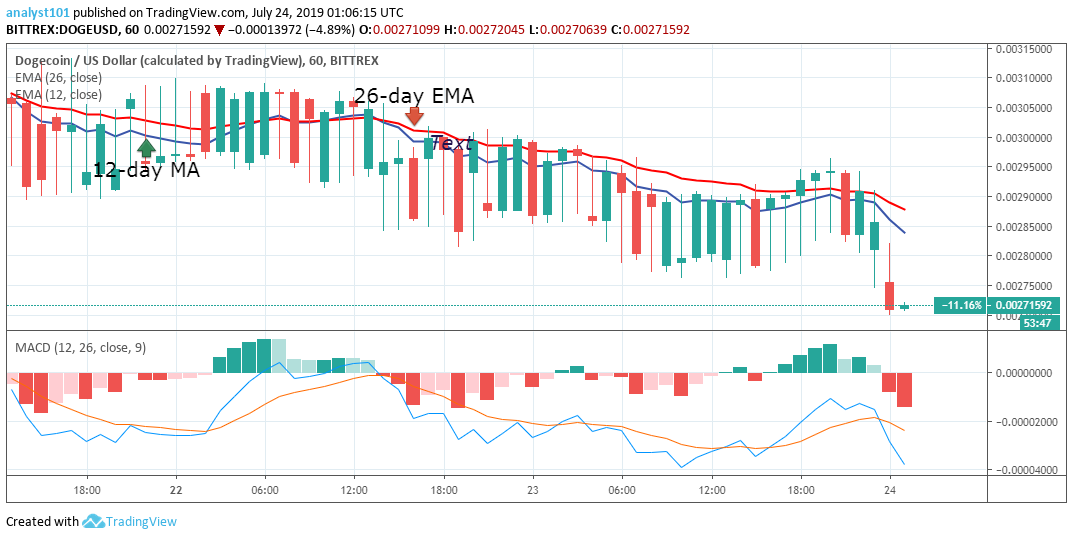 Dogecoin Price Prediction Today: Daily (DOGE) Value ...