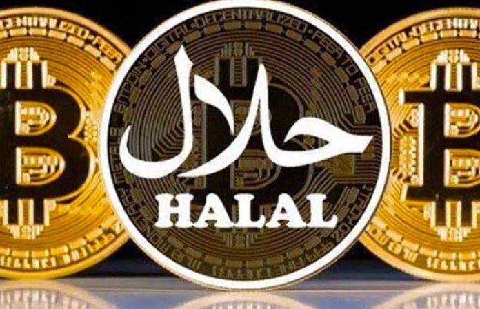 Islamic Expert on Shariah Acceptability: Halal Coin Is Only a Matter Of Time And Awareness Islamic Expert on Shariah Acceptability: Halal Coin Is Only a Matter Of Time And Awareness