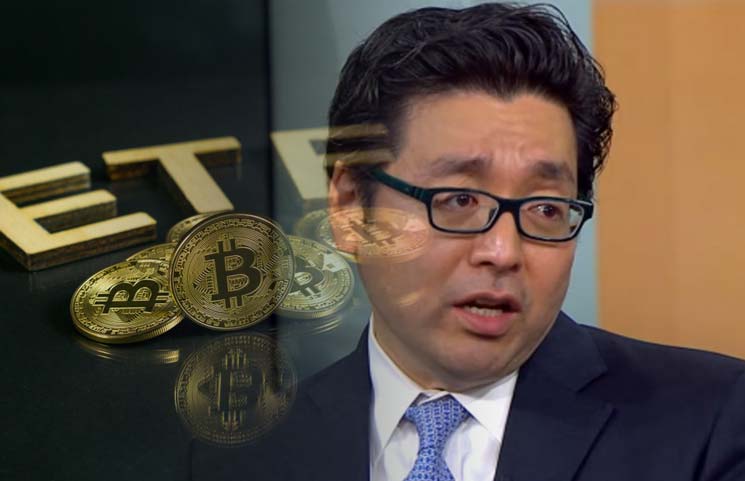 wilson lee bitcoin