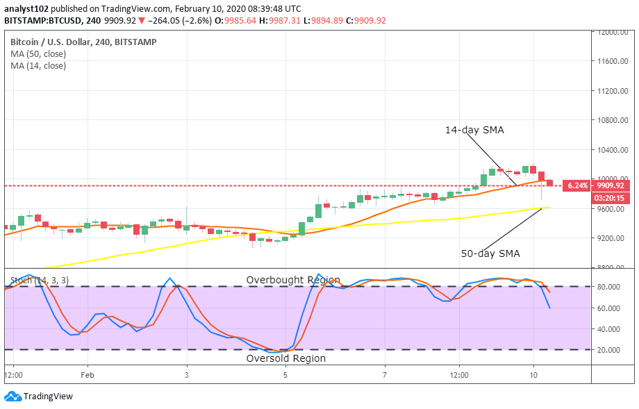 btc increase chart