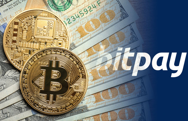 Crypto Payment Processor BitPay Sees More Use in Stablecoins than Layer-2  Solutions | TheCryptoReport.com