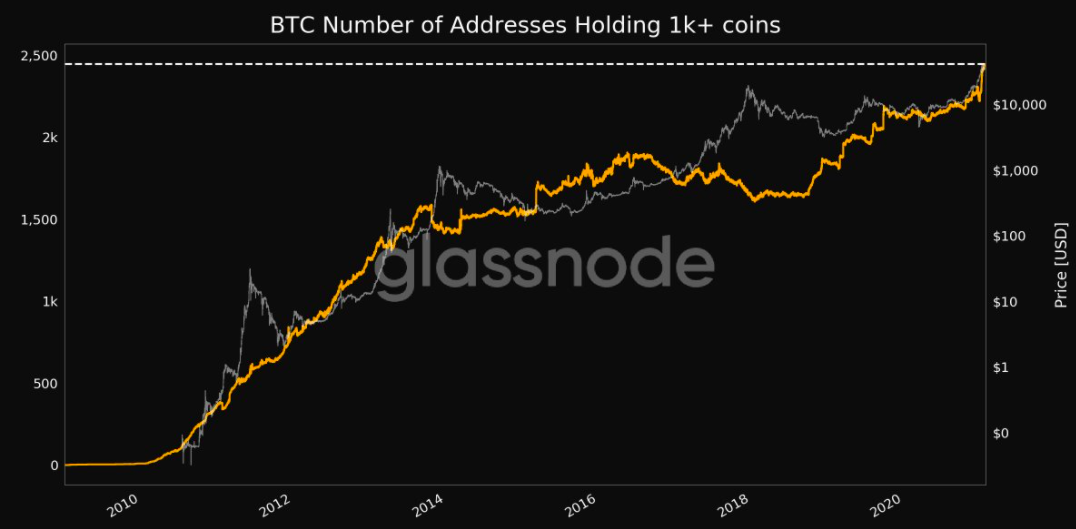 BTC Addresses Holding 1k+ coins
