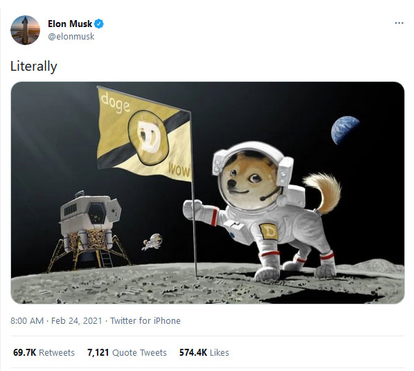 Elon Musk DOGE Moon